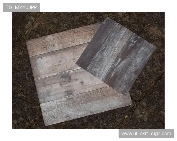 如何便捷查询凯发体育集团官方网址确保账号安全与游戏体验